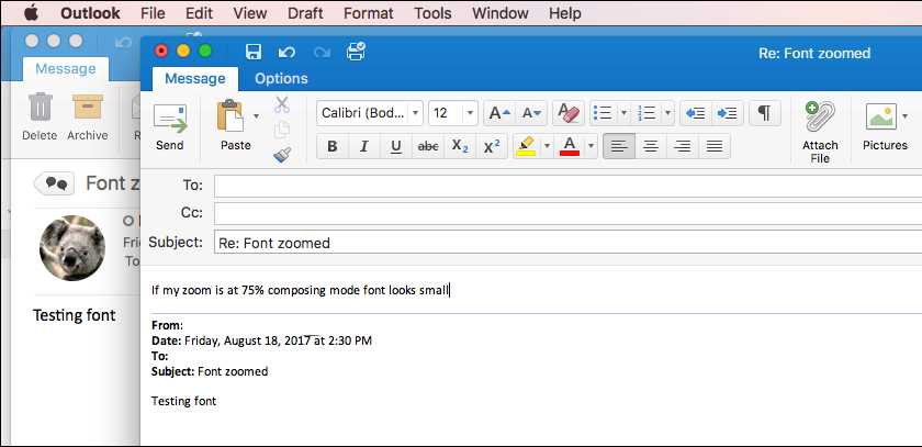 picture not showing in outlook 2016 for os x
